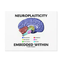 Neuroplasticity Embedded Within (Brain Anatomy)
