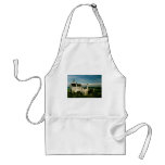 Neuschwanstein Castle aprons