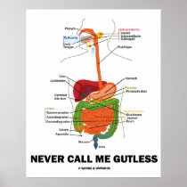 Never Call Me Gutless (Digestive System Humour)