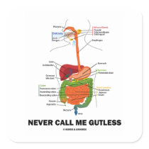 Never Call Me Gutless (Digestive System Humour)