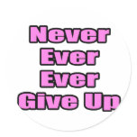 Never Ever Give Up stickers
