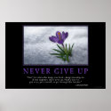 Never Give Up posters