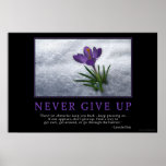 Never Give Up Print