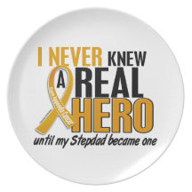 Never Knew a Hero 2 Stepdad Appendix Cancer Party Plates
