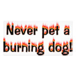 Never pet a burning dog! photo cards