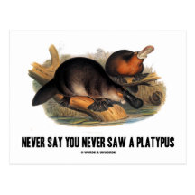 Never Say You Never Saw A Platypus Post Cards