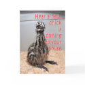 New Baby Emu BY 3-z cards