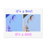 New Baby Twins Post Cards