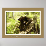 New Beginings Poster
