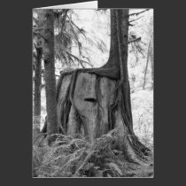New Beginnings (b&w) Notecard cards