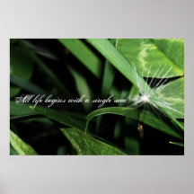 New Beginnings Poster