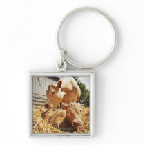 New born calf and mum key chain