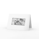 New Child - Angels cards