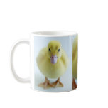 New Duckling Mugs