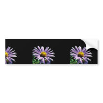 New England Aster Bumper Stickers