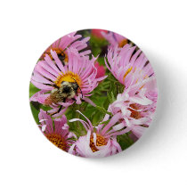 New England Aster Pinback Buttons