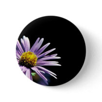 New England Aster Buttons