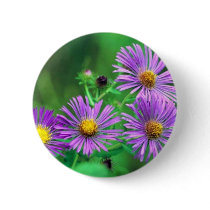 New England Aster Buttons