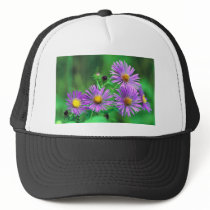 New England Aster Mesh Hats