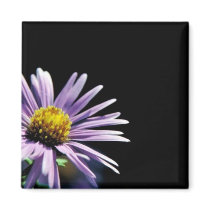 New England Aster Fridge Magnet