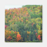 New England Autumn 073 Fridge Magnet