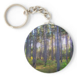 New England Autumn 36 Keychain