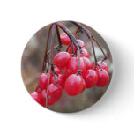 New England Autumn buttons