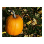 New England Autumn Post Cards