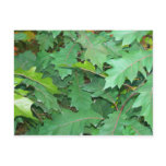 New England Autumn Post Card