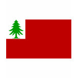 New England Flag t-shirts