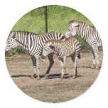 New Family Addition Sticker