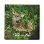 New Fawn - Embrace Life Fridge Magnets