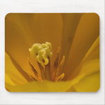 New Flower Mousepads