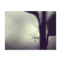 New growth post cards