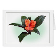 New Guinea Impatiens Botanical Sketch Note Card