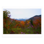 New Hampshire Post Card