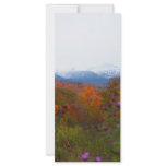 New Hampshire rack cards