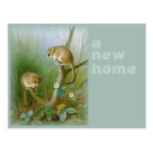 New home CC0112 Postcard