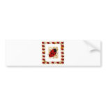 New Lady Bugs bumper stickers