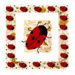 New Lady Bugs t-shirts