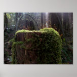 New Life Posters