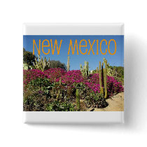 New Mexico Pins