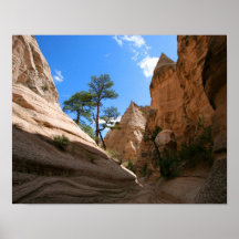 New Mexico Canyon Print