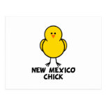 New Mexico Chick Postcard
