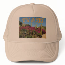 New Mexico Mesh Hat
