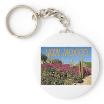 New Mexico Key Chains