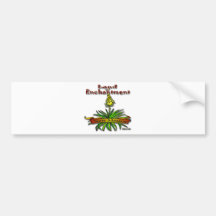 New Mexico Land of Enchantment Yucca Bumper Sticker