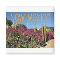 New Mexico Fridge Magnets