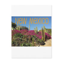 New Mexico Post Card