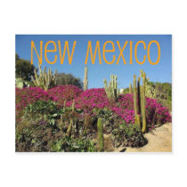New Mexico Post Card